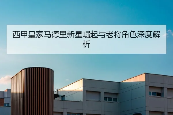 西甲皇家马德里新星崛起与老将角色深度解析